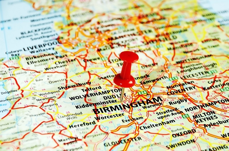 flowers flowers  / colorful flowers